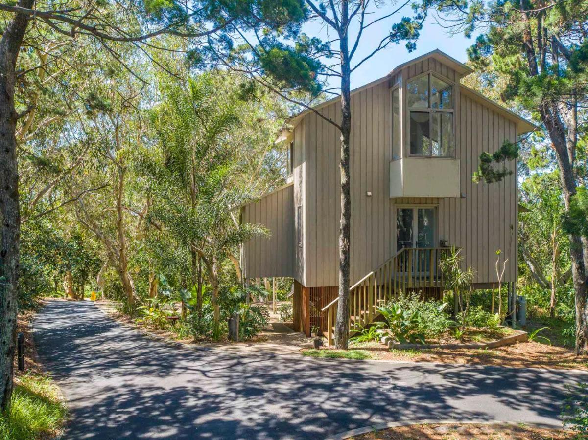 The Oasis Apartments And Treetop Houses Byron Bay Exteriér fotografie