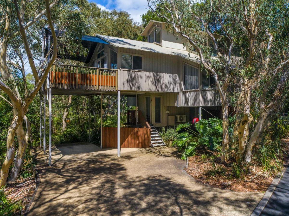 The Oasis Apartments And Treetop Houses Byron Bay Exteriér fotografie