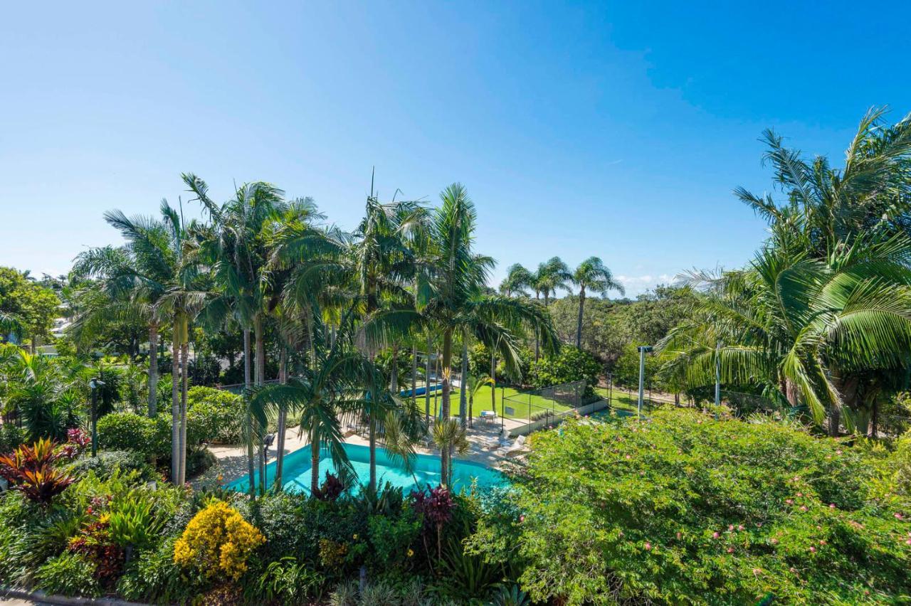 The Oasis Apartments And Treetop Houses Byron Bay Exteriér fotografie