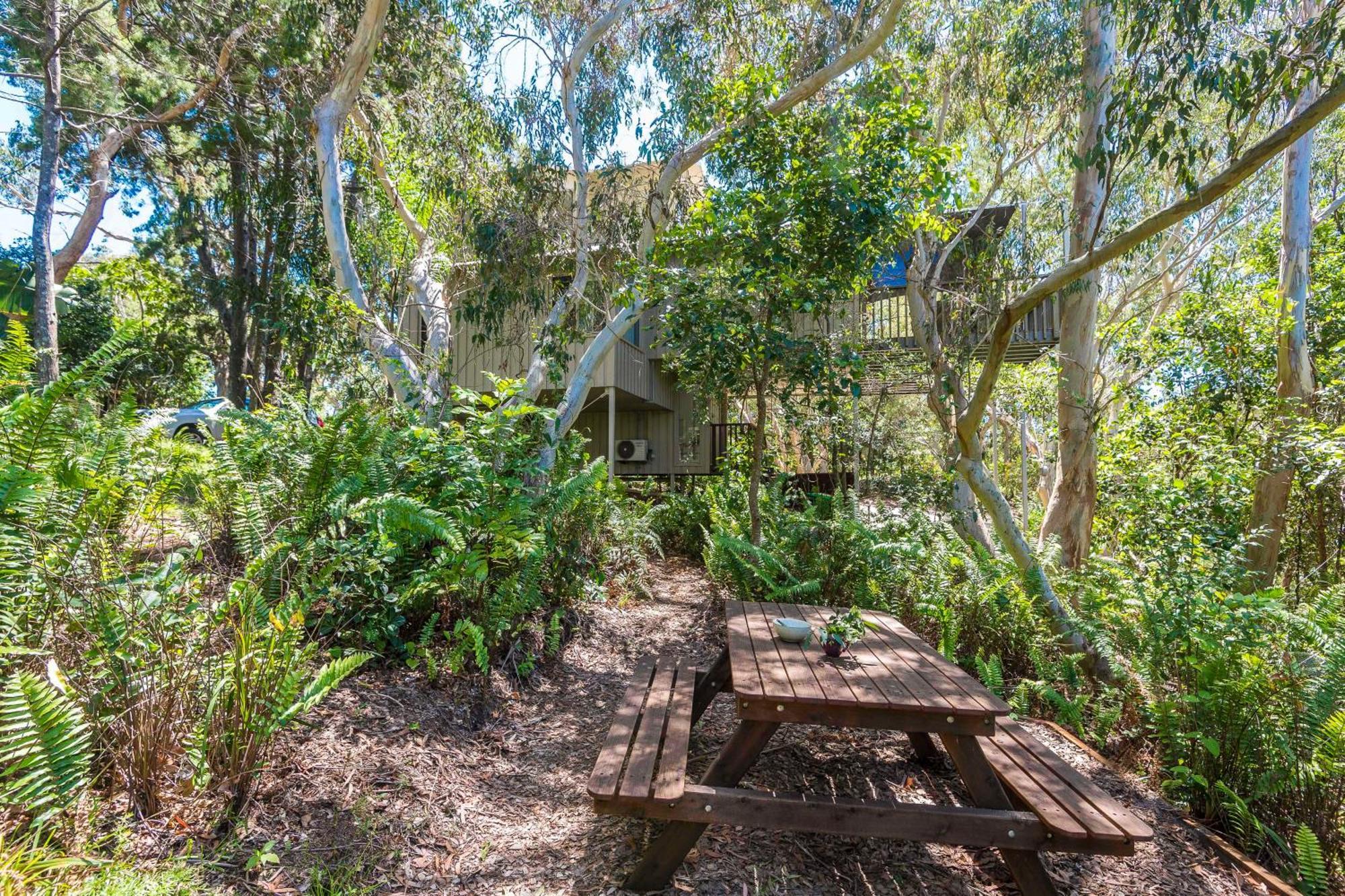 The Oasis Apartments And Treetop Houses Byron Bay Pokoj fotografie